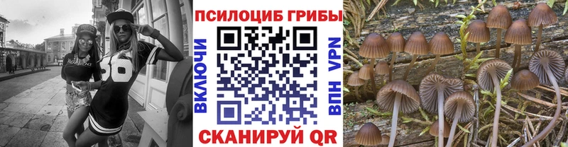 Галлюциногенные грибы GOLDEN TEACHER  цены наркотик  Фрязино 